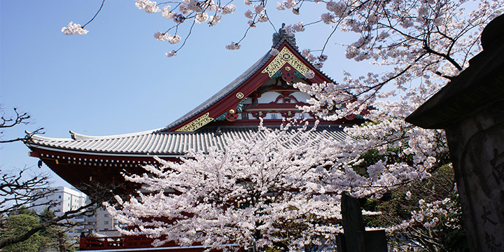 Asakusa Kannon