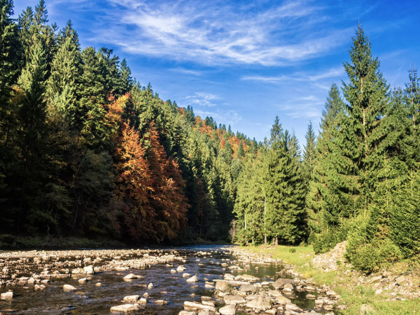 Cedar River Scenic Spot