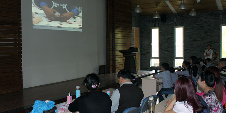 Watch Panda Movie at Dujiangyan Panda Base