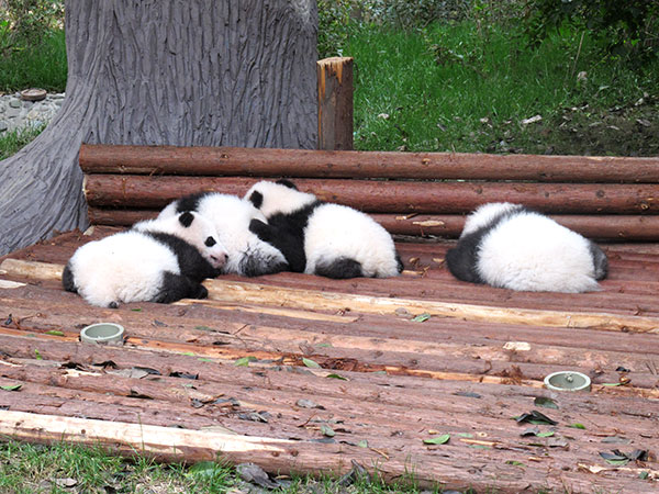 Chengdu