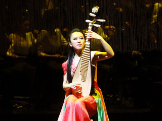 Chinese Musical Instrument