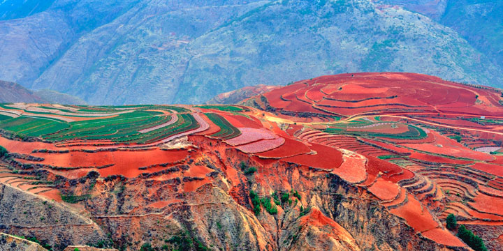 Dongchuan Red Soil