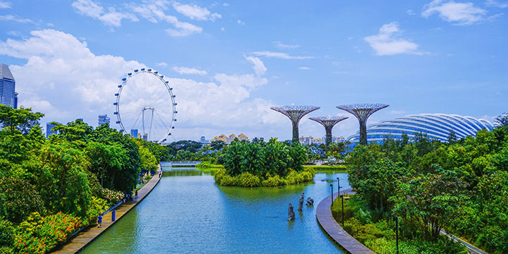 Gardens of the Bay