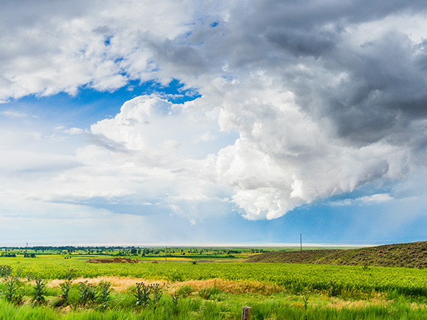 Ili Grasslands