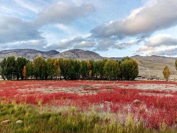 Kangding