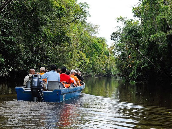 10 Days Sabah Natural Safari