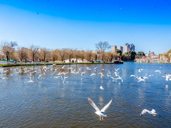 Green Lake View