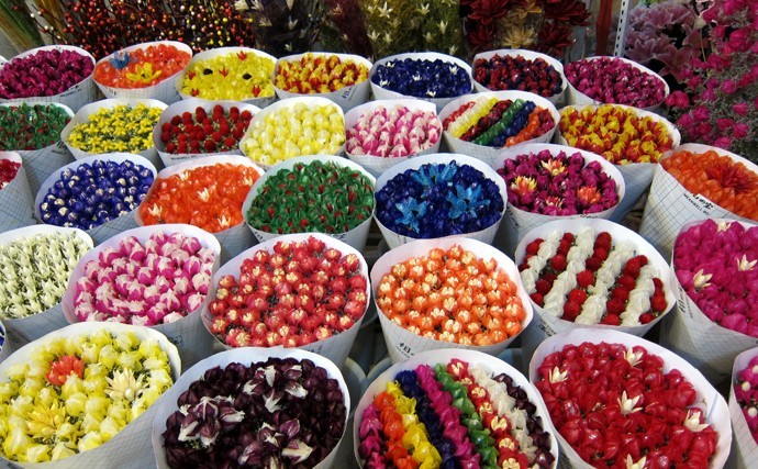 Shopping in Kunming No.1 Chajie Flower Market