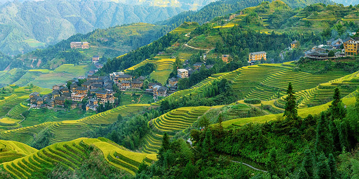 Longji Rice Terraces