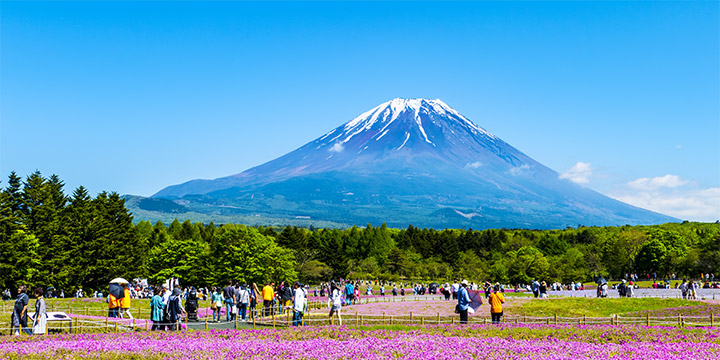 Mt. Fuji