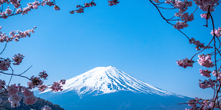 Mt Fuji