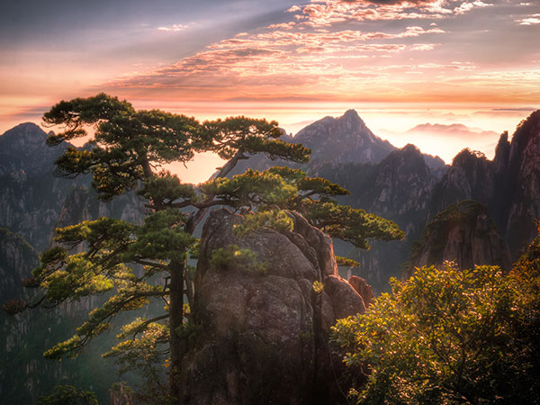 4 Days Mt. Huangshan Highlight Tour