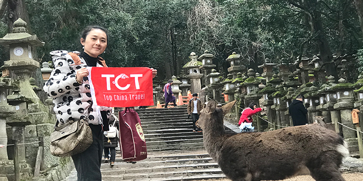 Nara Park