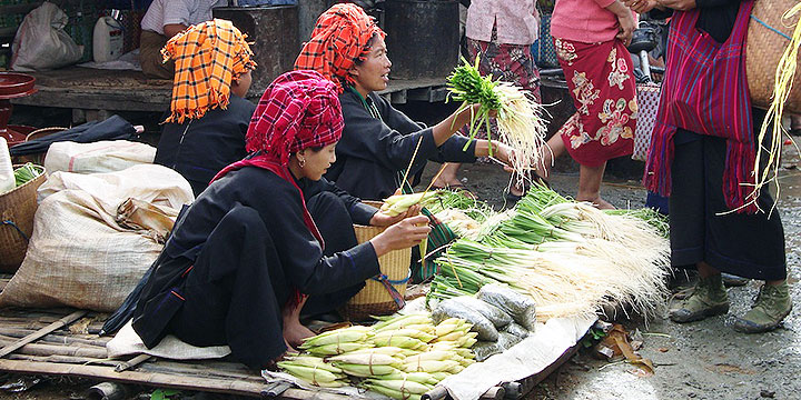 Pa O Hill Tribe Village