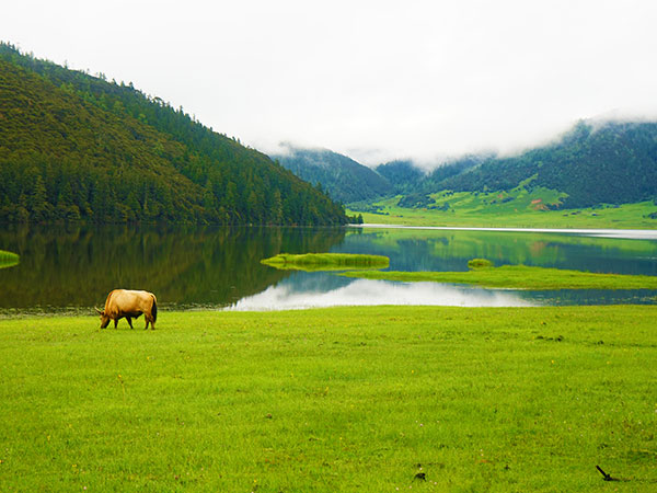 Potatso National Park