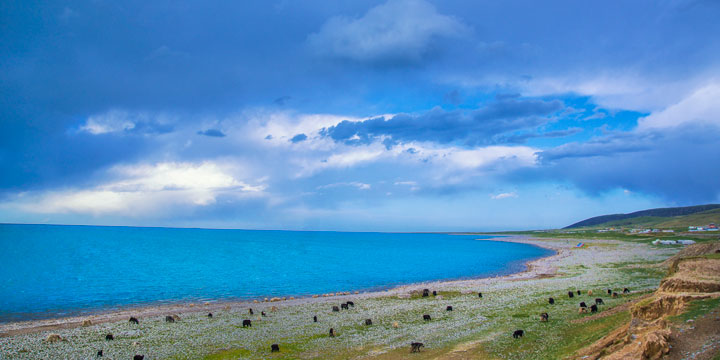 Qinghai Lake