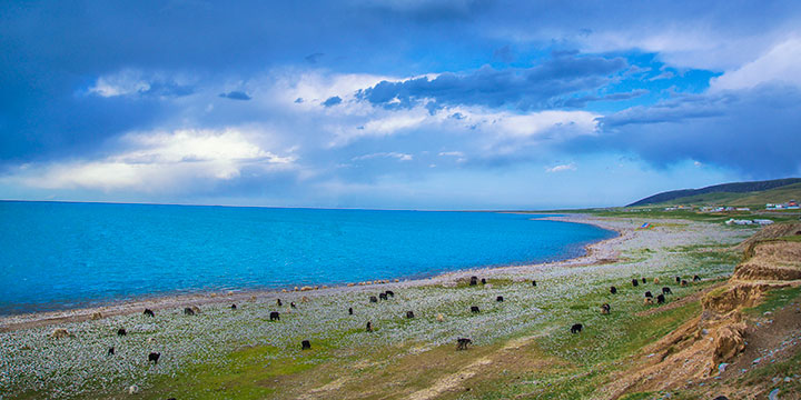 Qinghai Lake