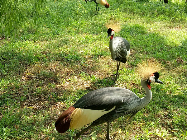 Qinghuangdao Wildlife Park