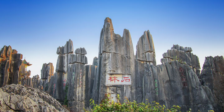 Stone Forest