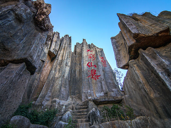 Stone Forest