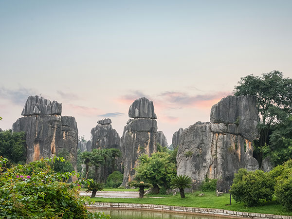 Stone Forest