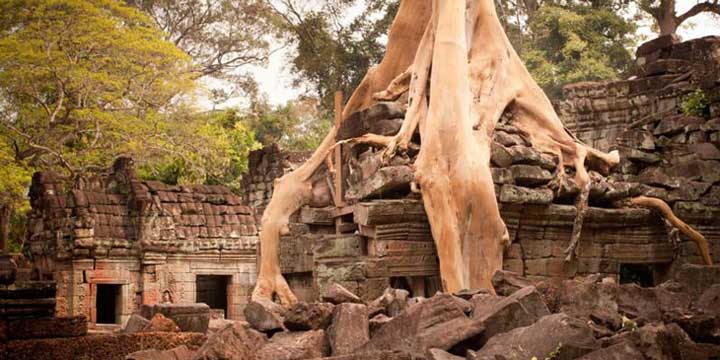 Ta Prohm