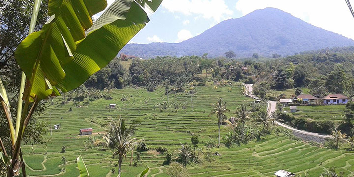 Countriside of Ubud