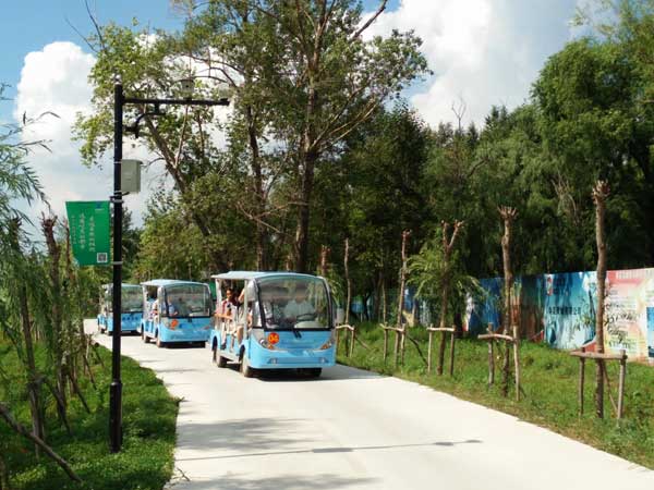 Take a Seat in Round-the-Lake Sightseeing Golf Cart