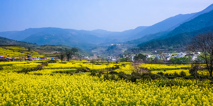 Wuyuan