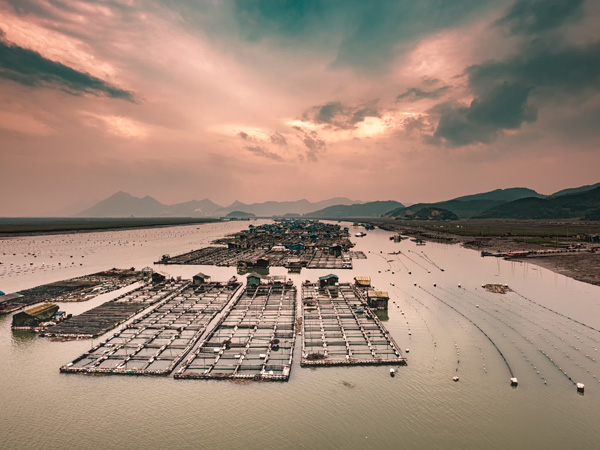 Xiapu Mudflat