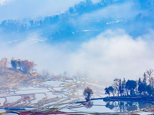 Yuanyang Rice Terraces