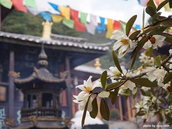 Yufeng Temple